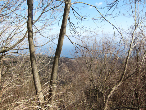 20200122hike (171)
